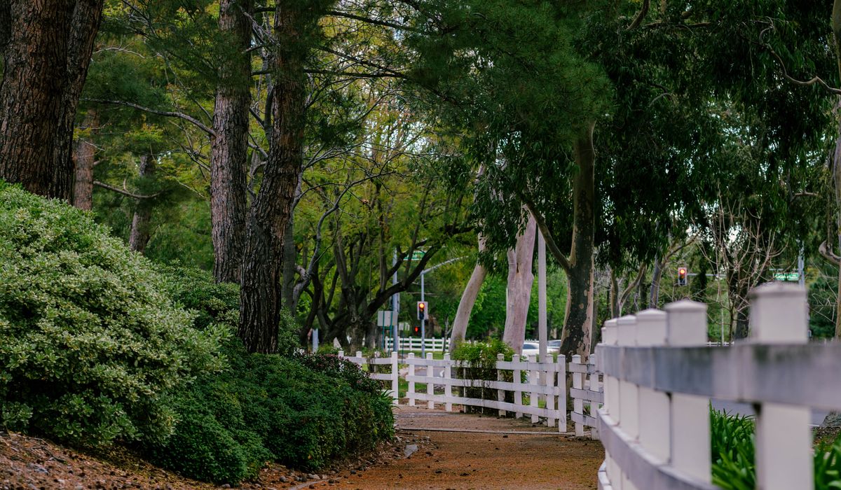 Beginner Cycling Routes on Quiet Local Roads
